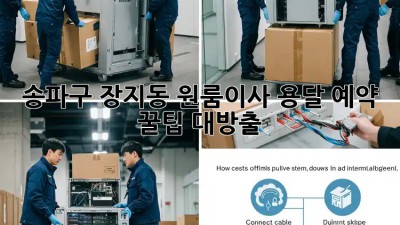 송파구 장지동 원룸이사? 용달 예약 꿀팁 대방출! 💯