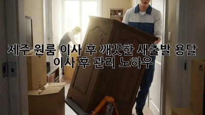 제주 원룸 이사 후, 깨끗한 새출발! 용달 이사 후 관리 노하우